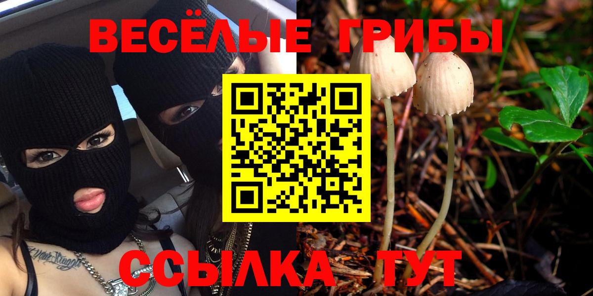 Лобня  Галлюциногенные грибы прущие грибы  Вход с VPN  Галлюциногенные грибы ЛСД 